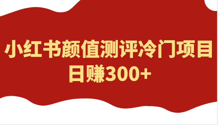 外面4980的项目，小红书颜值测评冷门项目，日赚300+-颜夕资源网-第12张图片