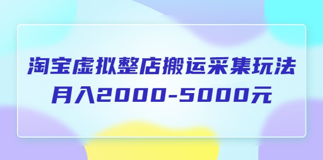 淘宝虚拟整店搬运采集玩法分享课：月入2000-5000元-颜夕资源网-第12张图片