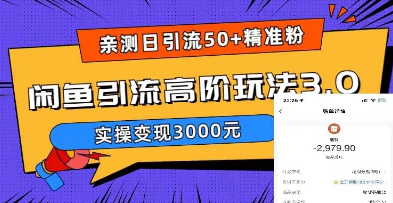 日引50+精准粉，闲鱼引流高阶玩法3.0，实操变现3000元-颜夕资源网-第12张图片