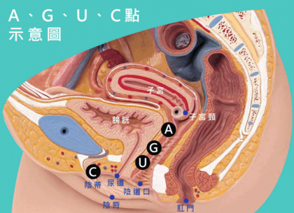 妹子的“G、A、C、U”点都在哪里？有什么作用？-颜夕资源网-第14张图片