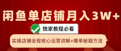 闲鱼单店铺月入3W+实操展示，爆单核心秘籍，一学就会-颜夕资源网-第12张图片